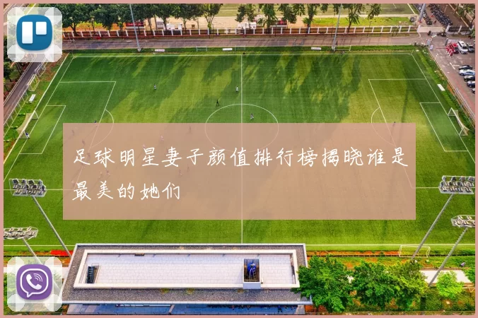 足球明星妻子颜值排行榜揭晓谁是最美的她们