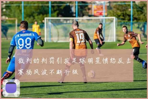 裁判的判罚引发足球明星愤怒反击赛场风波不断升级