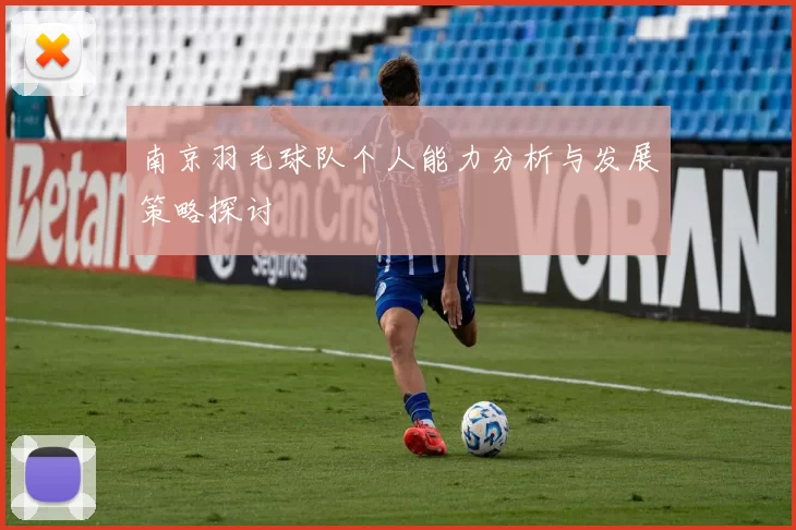 南京羽毛球队个人能力分析与发展策略探讨
