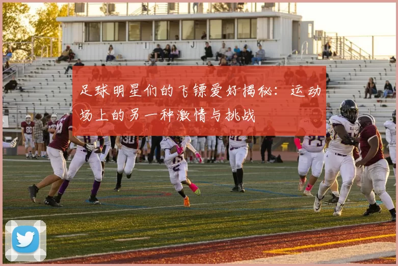 足球明星们的飞镖爱好揭秘：运动场上的另一种激情与挑战