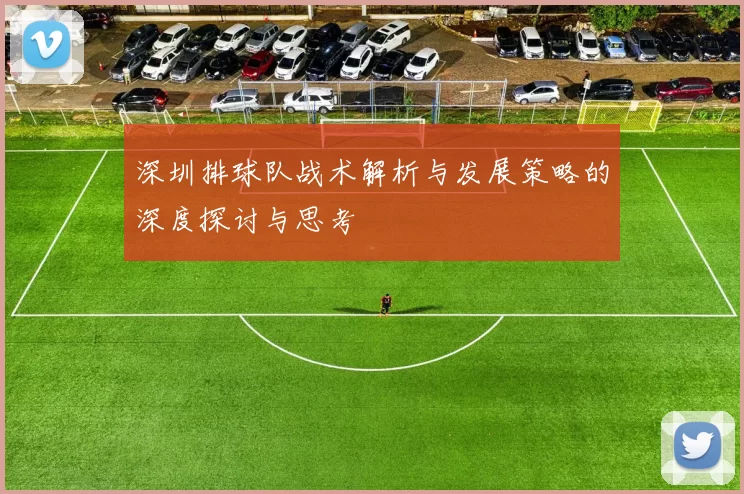 深圳排球队战术解析与发展策略的深度探讨与思考