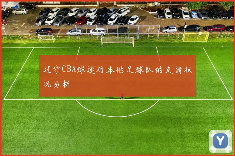 辽宁CBA球迷对本地足球队的支持状况分析