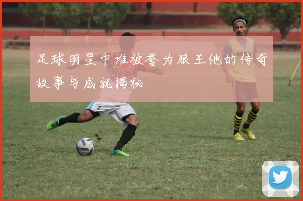 足球明星中谁被誉为狼王他的传奇故事与成就揭秘