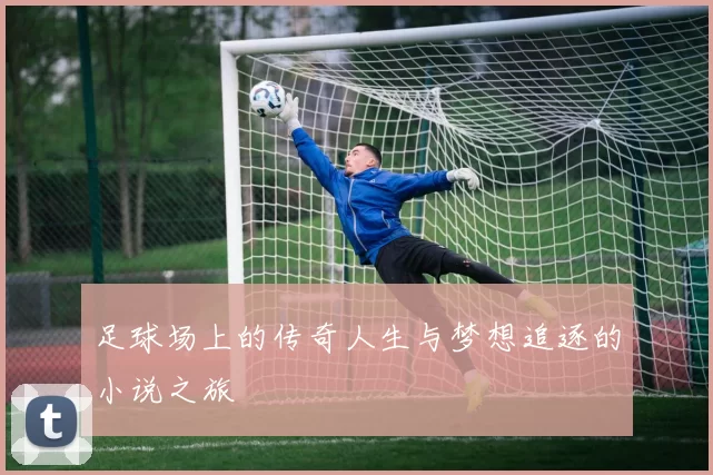 足球场上的传奇人生与梦想追逐的小说之旅