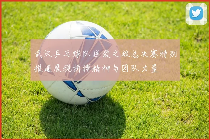 武汉乒乓球队逆袭之旅总决赛特别报道展现拼搏精神与团队力量