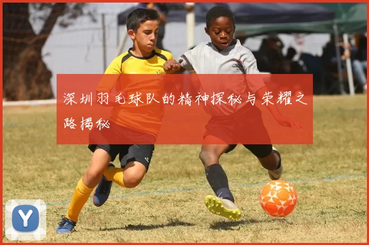 深圳羽毛球队的精神探秘与荣耀之路揭秘