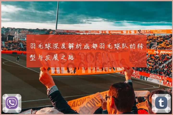羽毛球深度解析成都羽毛球队的转型与发展之路