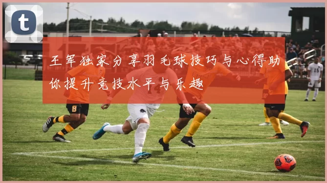 王军独家分享羽毛球技巧与心得助你提升竞技水平与乐趣