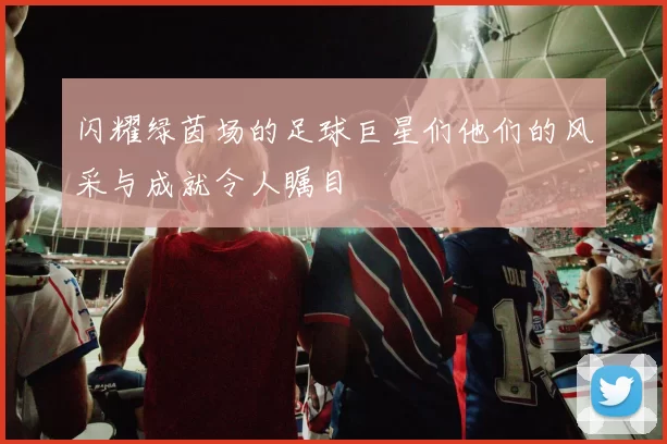 闪耀绿茵场的足球巨星们他们的风采与成就令人瞩目