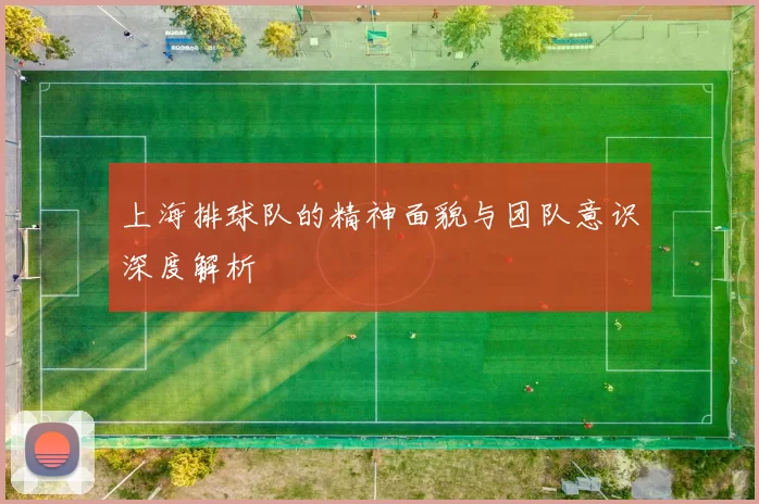 上海排球队的精神面貌与团队意识深度解析
