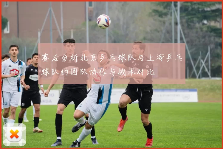 赛后分析北京乒乓球队与上海乒乓球队的团队协作与战术对比