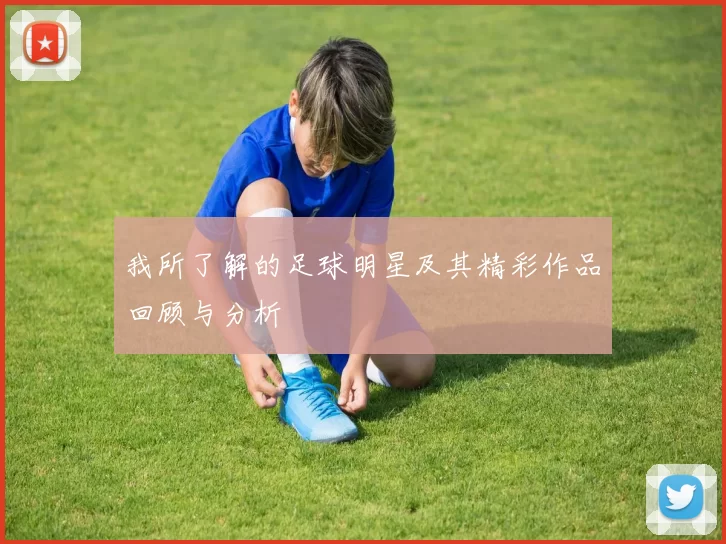 我所了解的足球明星及其精彩作品回顾与分析