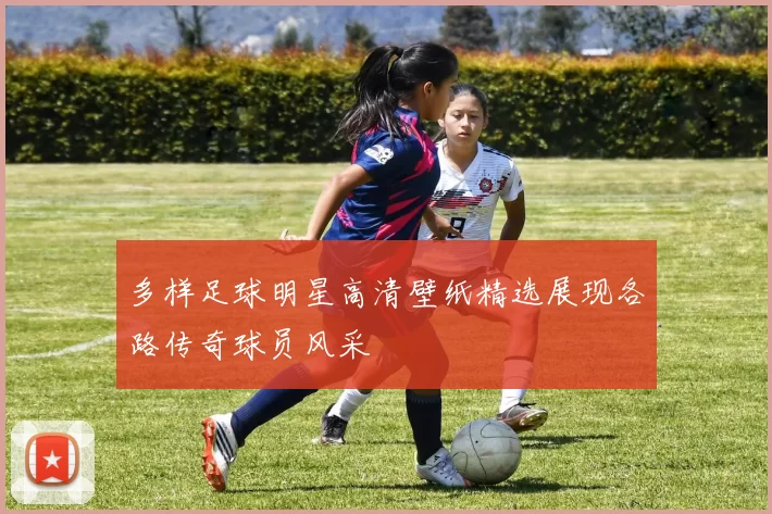 多样足球明星高清壁纸精选展现各路传奇球员风采