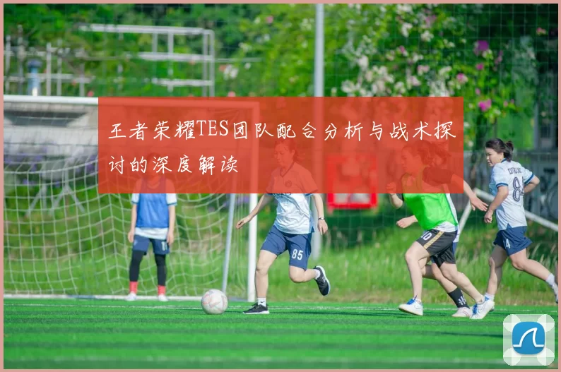王者荣耀TES团队配合分析与战术探讨的深度解读